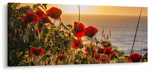 Obraz západu slnka s vlčími makmi (120x50 cm)