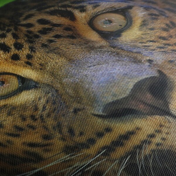 Obraz - Portrét leoparda, Sri Lanka (70x50 cm)