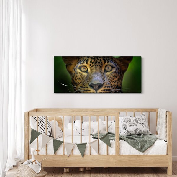 Obraz - Portrét leoparda, Sri Lanka (120x50 cm)