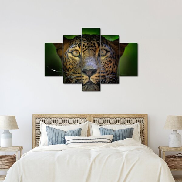 Obraz - Portrét leoparda, Sri Lanka (150x105 cm)