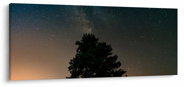 Obraz nočnej oblohy so stromami (120x50 cm)