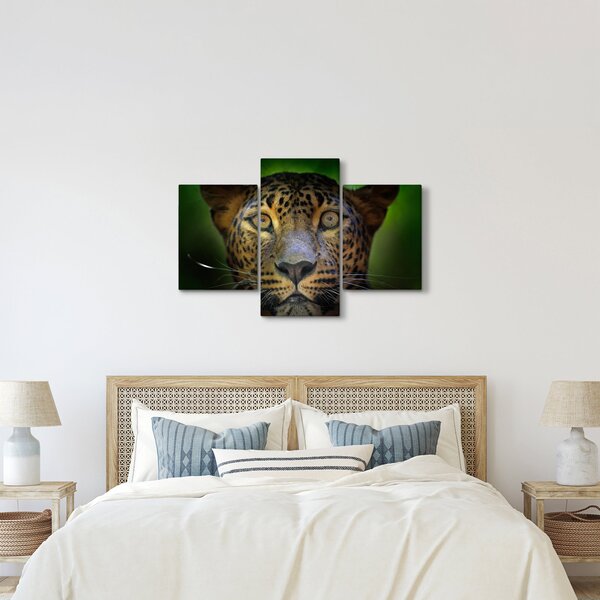 Obraz - Portrét leoparda, Sri Lanka (90x60 cm)
