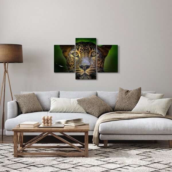Obraz - Portrét leoparda, Sri Lanka (90x60 cm)