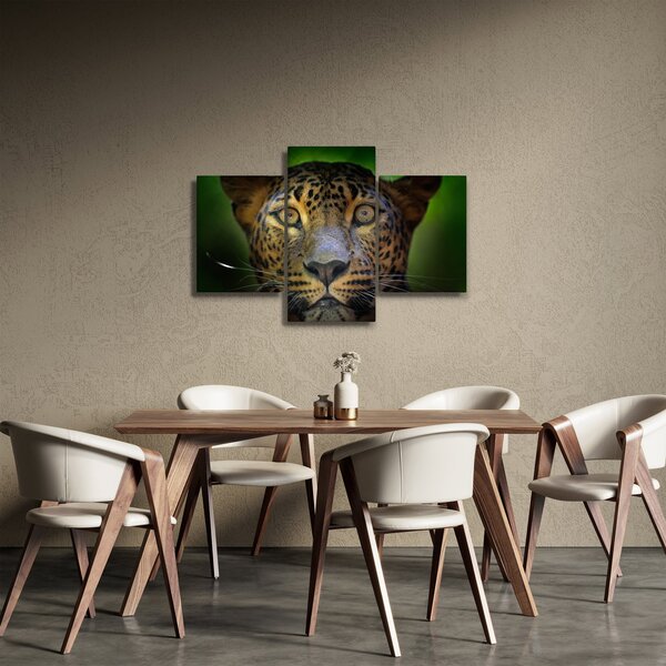 Obraz - Portrét leoparda, Sri Lanka (90x60 cm)