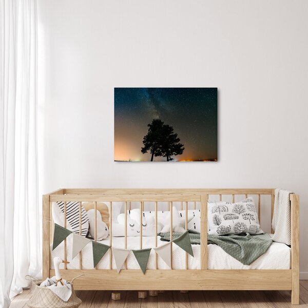 Obraz nočnej oblohy so stromami (70x50 cm)