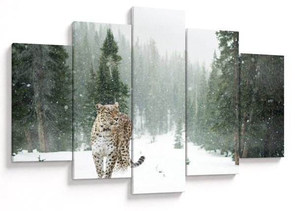 Obraz leoparda v snehu (150x105 cm)