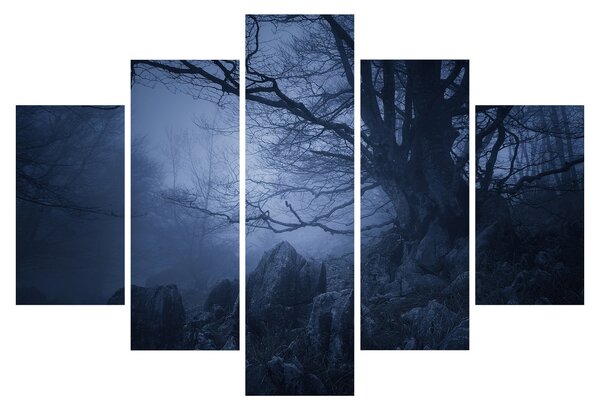 Obraz temného lesa (150x105 cm)