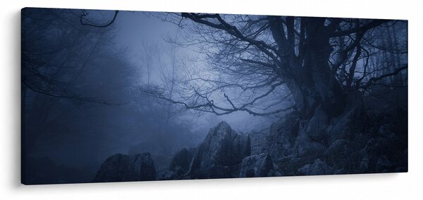 Obraz temného lesa (120x50 cm)