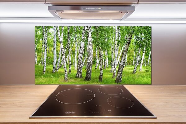 Dekoračný panel sklo Brezovy les pl-pksh-100x50-f-85613602
