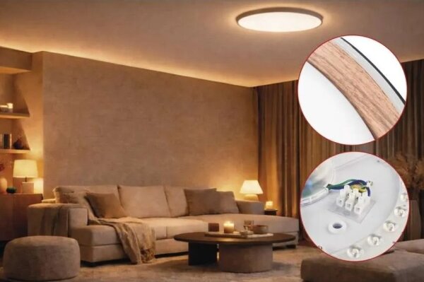 LED stmievateľné stropné svietidlo ILVI LED/45W/230V 2700-6500K pr. 50 cm čierna/béžová+DO