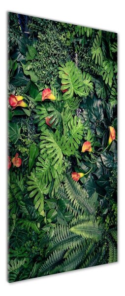 Fotoobraz na skle Tropické rastliny