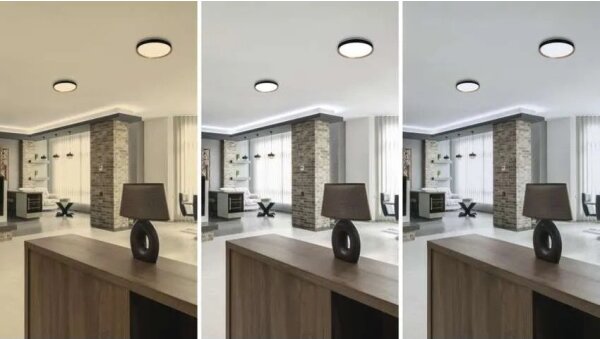 LED stmievateľné stropné svietidlo ILVI LED/30W/230V 2700-6500K pr. 40 cm čierna/bežová+DO