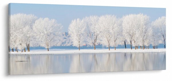Obraz zimnej krajiny (120x50 cm)