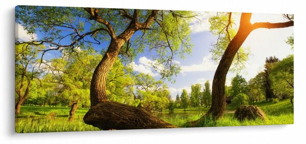 Obraz jarnej lúky (120x50 cm)