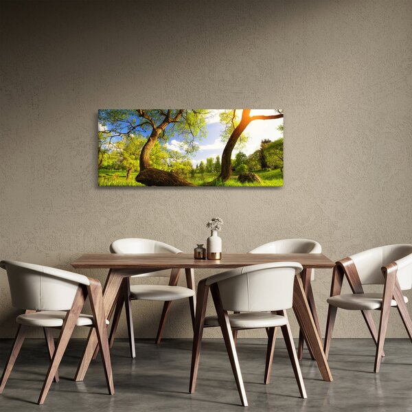 Obraz jarnej lúky (120x50 cm)