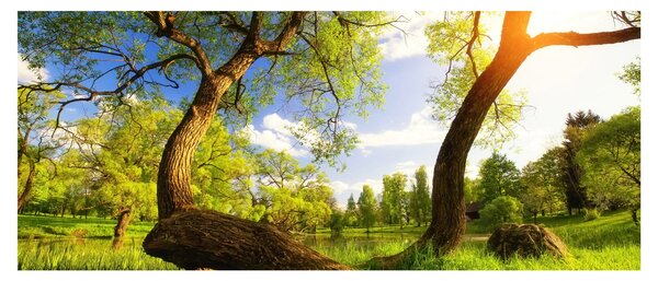 Obraz jarnej lúky (120x50 cm)