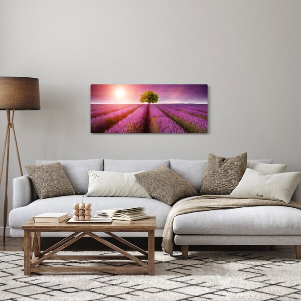 Obraz poľa s levanduľami (120x50 cm)