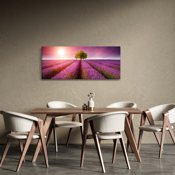 Obraz poľa s levanduľami (120x50 cm)