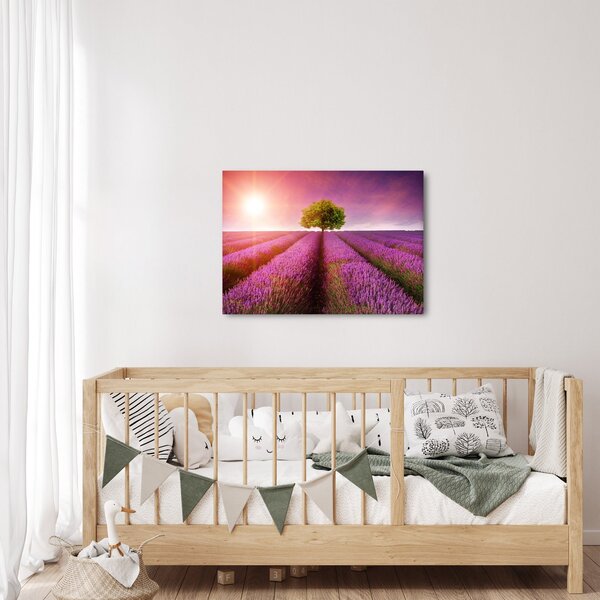 Obraz poľa s levanduľami (70x50 cm)