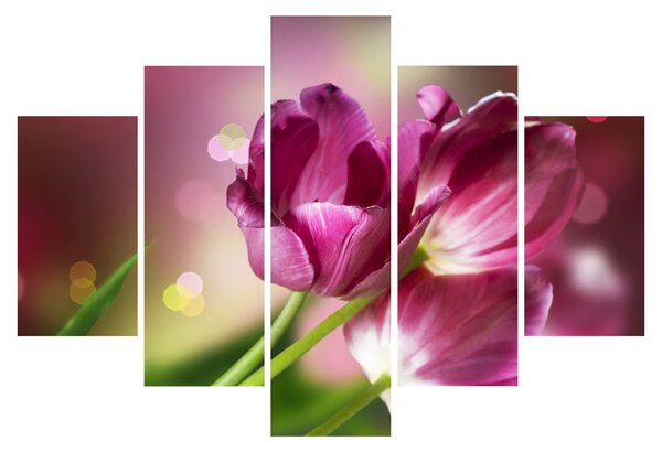 Obraz ružových tulipánov (150x105 cm)
