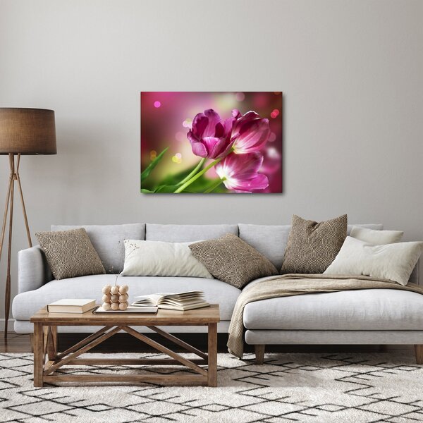 Obraz ružových tulipánov (70x50 cm)