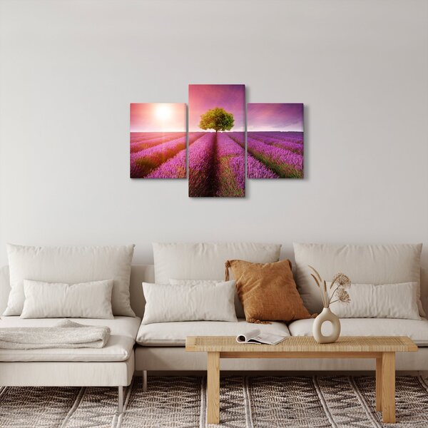 Obraz poľa s levanduľami (90x60 cm)