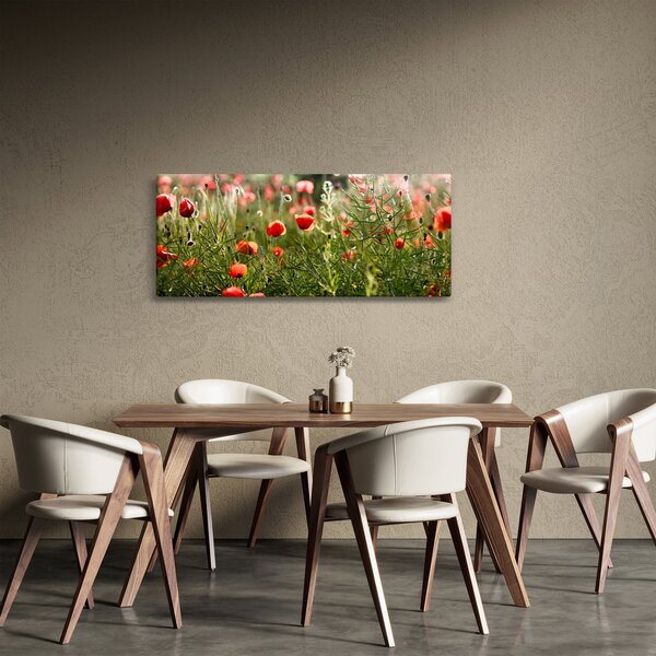 Obraz vlčích makov (120x50 cm)
