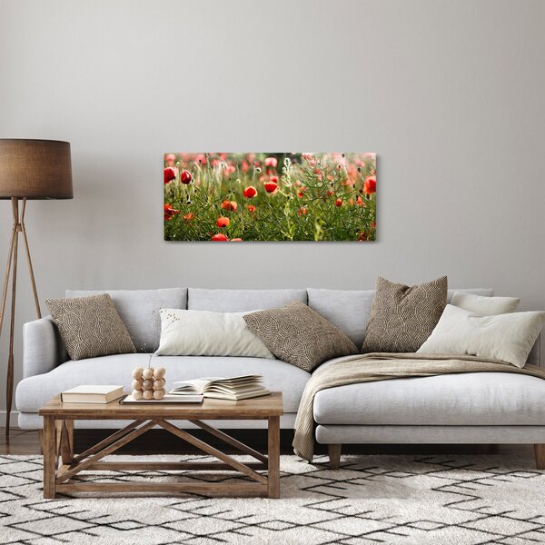 Obraz vlčích makov (120x50 cm)