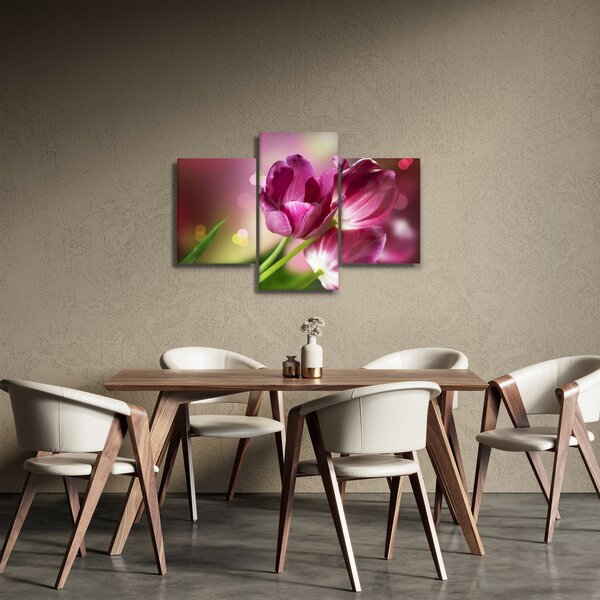 Obraz ružových tulipánov (90x60 cm)