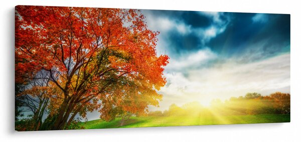 Obraz krajiny zaliate slnečným svitom (120x50 cm)