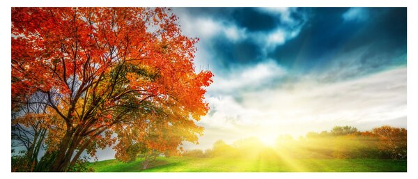 Obraz krajiny zaliate slnečným svitom (120x50 cm)