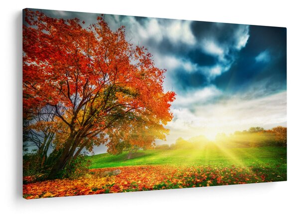 Obraz krajiny zaliate slnečným svitom (90x60 cm)