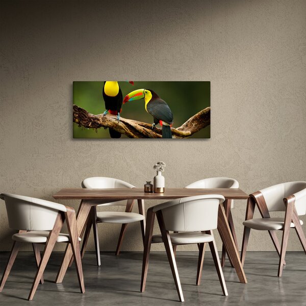 Obraz sediacich tukanov, Costa Rica (120x50 cm)