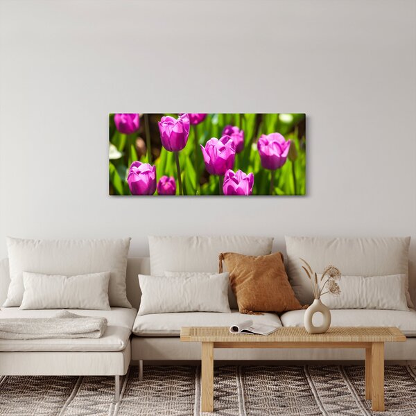 Obraz tulipánov na lúke (120x50 cm)