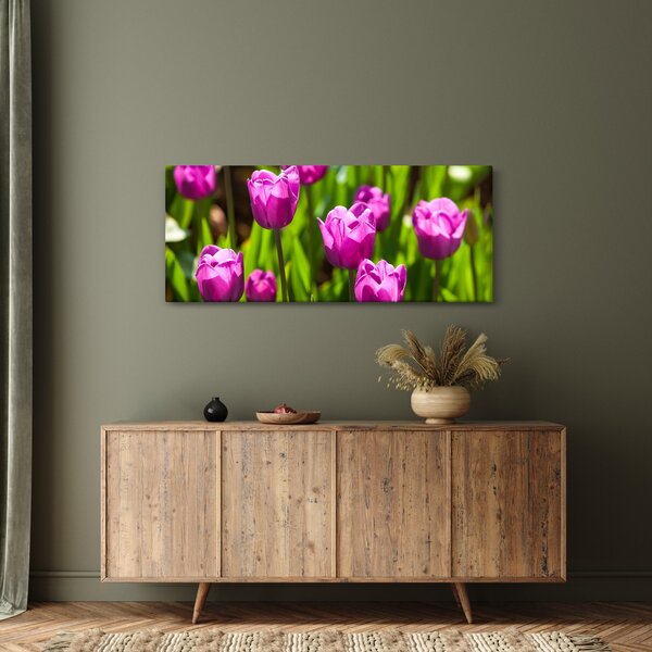 Obraz tulipánov na lúke (120x50 cm)