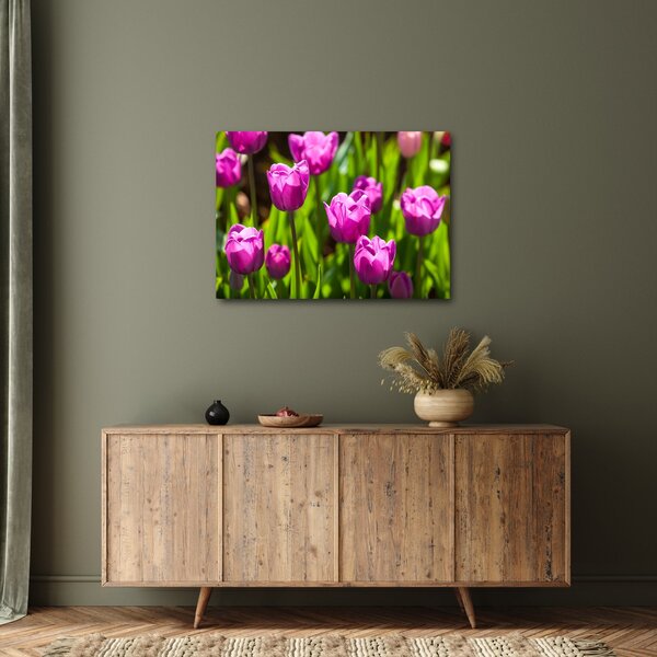 Obraz tulipánov na lúke (70x50 cm)