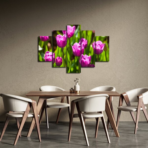 Obraz tulipánov na lúke (150x105 cm)