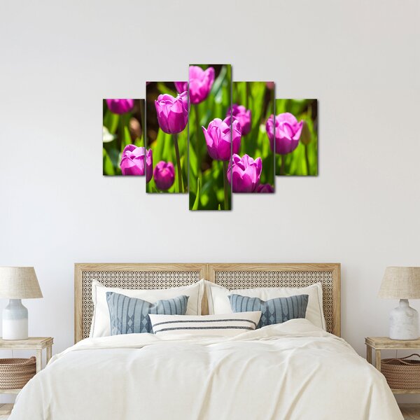 Obraz tulipánov na lúke (150x105 cm)