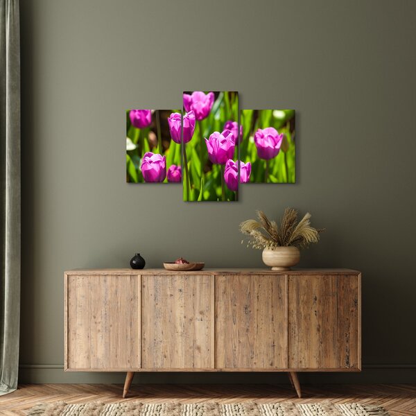 Obraz tulipánov na lúke (90x60 cm)