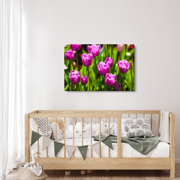 Obraz tulipánov na lúke (90x60 cm)