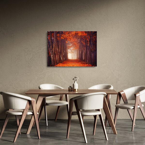 Sklenený obraz - Jesenné les (70x50 cm)