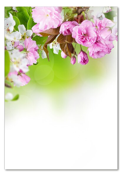 Fotoobraz na skle Jarné kvety pl-osh-70x100-f-79458656