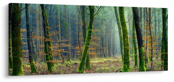 Obraz lesa (120x50 cm)
