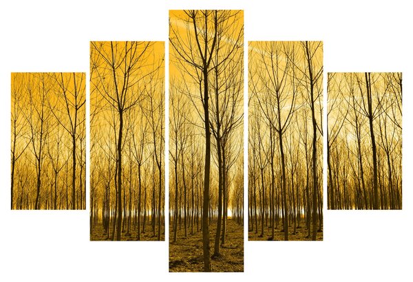 Obraz lesa pri západe slnka (150x105 cm)