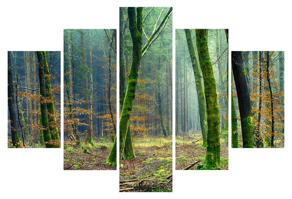 Obraz lesa (150x105 cm)