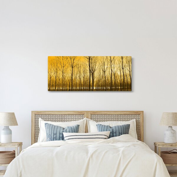 Obraz lesa pri západe slnka (120x50 cm)