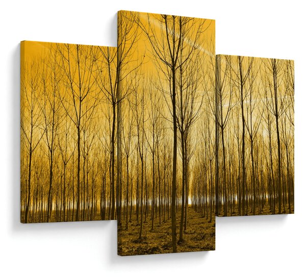 Obraz lesa pri západe slnka (90x60 cm)