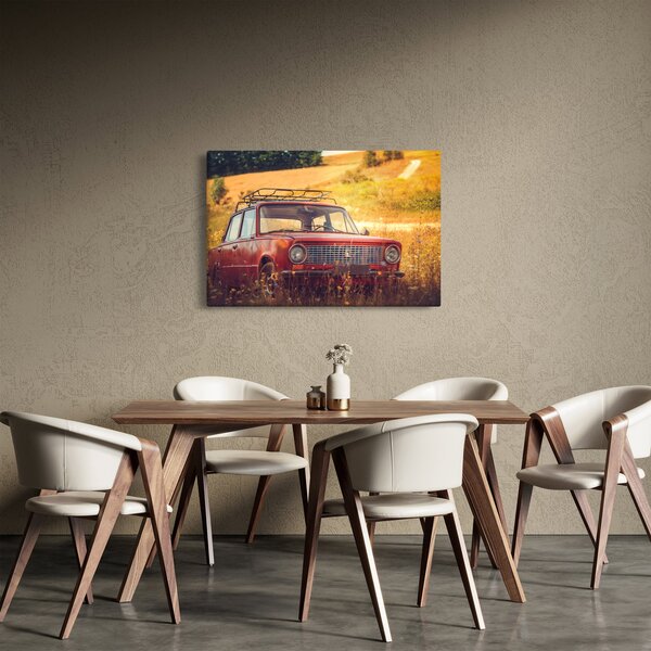 Obraz auta v poli (90x60 cm)