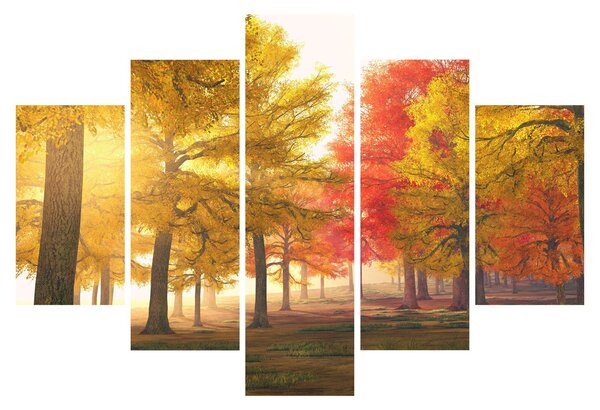 Obraz jesenných stromov (150x105 cm)