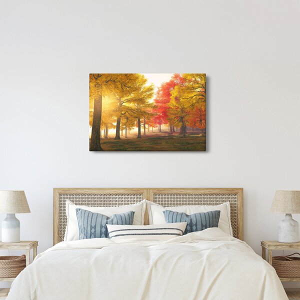 Obraz jesenných stromov (90x60 cm)